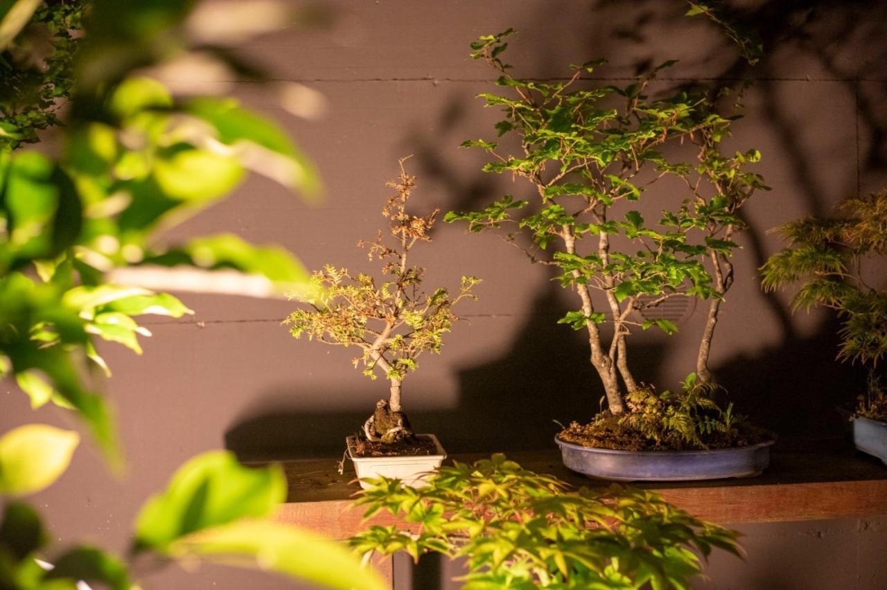 Il Giardino Segreto Lägenhet Carbognano Exteriör bild