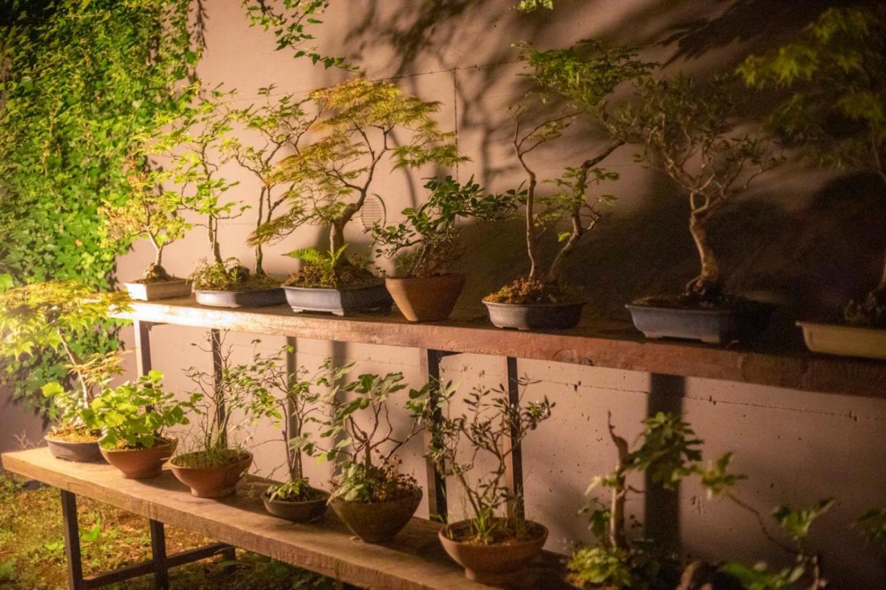 Il Giardino Segreto Lägenhet Carbognano Exteriör bild