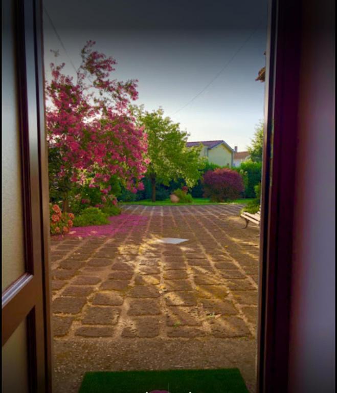 Il Giardino Segreto Lägenhet Carbognano Exteriör bild