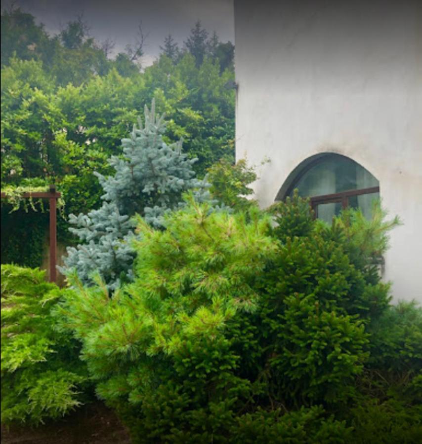 Il Giardino Segreto Lägenhet Carbognano Exteriör bild
